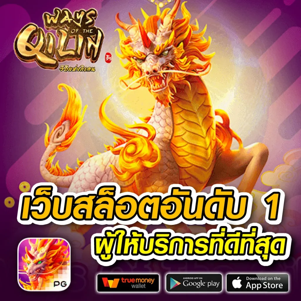 คาสิโน xone-bet